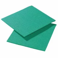 Spontex Spongyl Green (Pack Of 10) - CD814